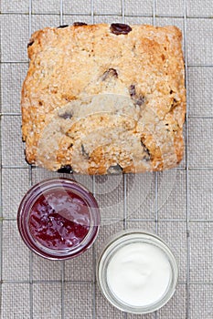 Fresh home baked scone with jam and clotted cream photo