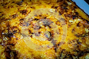 Fresh home cooked delicious lasagna