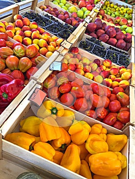 Fresh home grown fruit, vegetables - bell pepper, tomato, grape, apple at farmer market