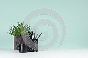 Fresh home interior - workplace for education and work with black stationery, coffee cup, aloe plant in elegant green mint menthe.