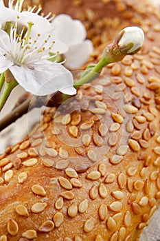 Fresh home-made bread