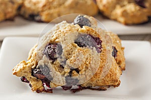 Fresh Homemade Blueberry Breakfast Scones