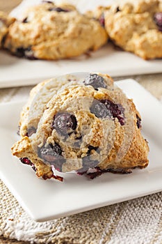 Fresh Homemade Blueberry Breakfast Scones