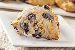 Fresh Homemade Blueberry Breakfast Scones