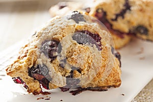Fresh Homemade Blueberry Breakfast Scones