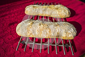 Fresh homemade bread