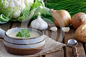 Fresh homemade cauliflower soup with onions, garlic and parsley