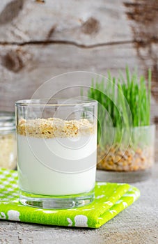 Fresh homemade greek yogurt (kefir) with dried wheat bran. Healthy breakfast or afternoon snack.