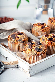 Fresh homemade oatmeal muffins with dried cranberry