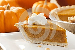 Fresh Homemade Pumpkin Pie