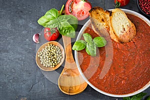 Fresh homemade tomato soup in the bowl on stone background