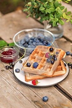 Fresh homemade waffles with blackberries, Jam, tea, leaves, berries