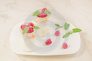 Fresh homemade yogurt decorated with fresh raspberry and mint/Two glass jars with fresh homemade yogurt with raspberry and mint on
