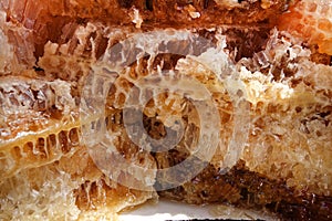 Fresh honey in its honeycombs, sold in a wet market