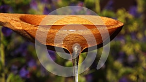 Fresh honey pours from a wooden spoon against a background of flowers.