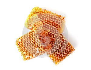 Fresh honeycombs on white background