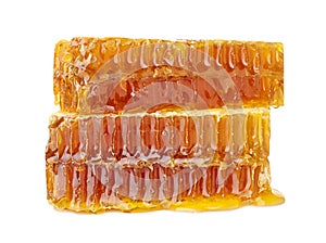 Fresh honeycombs on white background