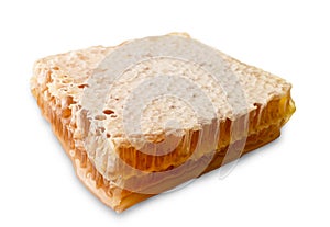 Fresh honeycombs on white background. clipping path