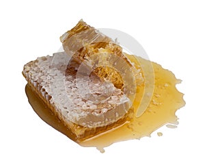 Fresh honeycombs on white background. clipping path