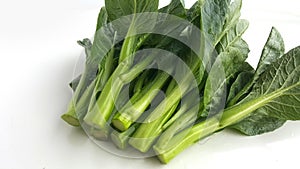 Fresh Hong Kong choy sum vegetable