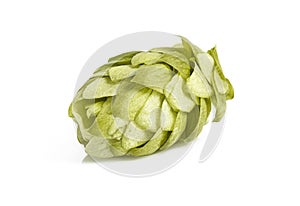 Fresh hop cone isolated on a white background.