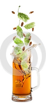 Fresh hops flowers with leaves and wheat grains falling into glass mug of beer on white background