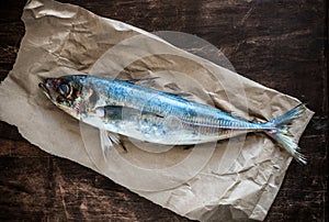 A fresh horse mackerel on a rustic paper.