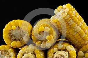 Fresh Hot Boiled Corn Cob on Black Background