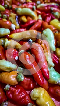 Fresh and hot chilli