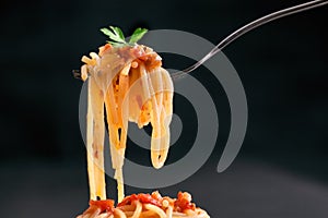Fresh hot spaghetti wrapped on fork
