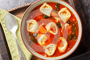 Fresh hot tortellini tomato soup with carrot, onion, tomato and cheese closeup on the plate. Horizontal top view