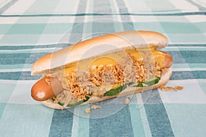 Fresh hotdog with sausage, roasted onions and cocumber slices lying on checked tablecloth