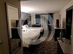 Fresh Hotel Room