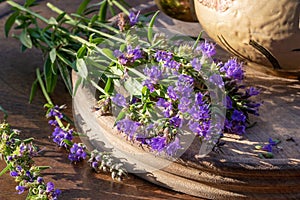 Fresh hyssop flowers on a table