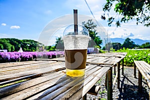 Fresh ice tea in plastic glass with flower garden