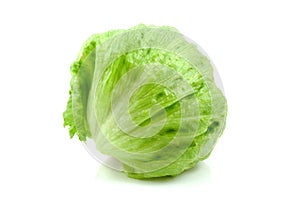 Fresh iceberg lettuce