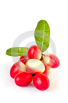 Fresh Indian common herb name Koromcha