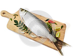 Fresh Indo-Pacific tarpon fish decorated with herbs and vegetables on a wooden pad,Selective focus.White background