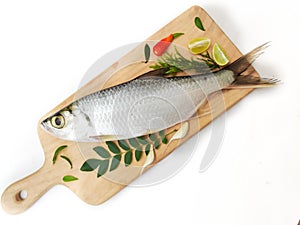 Fresh Indo-Pacific tarpon fish decorated with herbs and vegetables on a wooden pad,Selective focus.White background