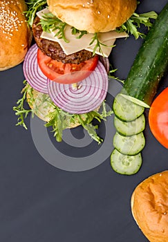 Fresh ingredients of homemade hamburger