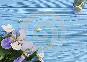 Fresh iris blossom beauty flower on a blue wooden background