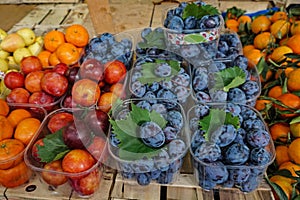 Fresh Italian plums, a specialty produce item, also called Blue or Empress.