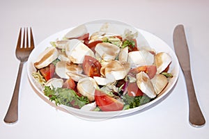 Fresh Italian salad with Mozzarella.