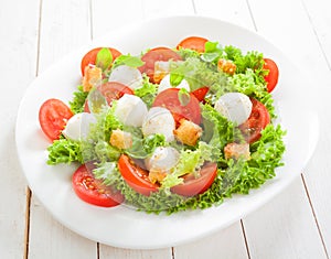 Fresh Italian salad with mozzarella cheese