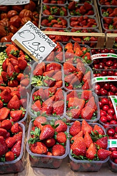 Fresh Italian strawberries (fragola Italia) and cherries for display in a shop with the price photo
