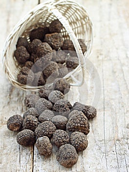 Fresh italian truffles