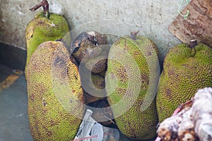 Fresh Jackfruit at fruit market in Borneo