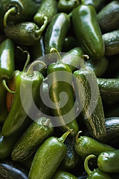 Fresh jalapeno peppers.