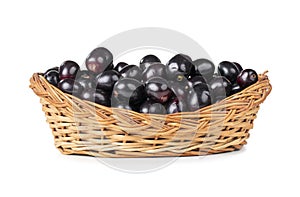 Fresh Jamun fruits