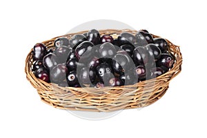Fresh Jamun fruits